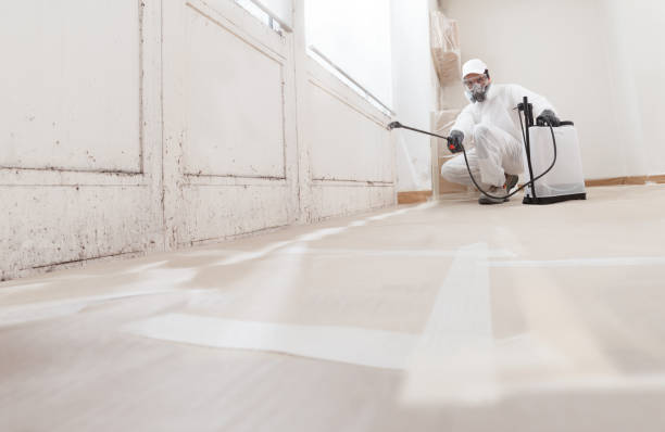 24/7 Emergency Basement Mold Remediation experts in Middleburg, VA